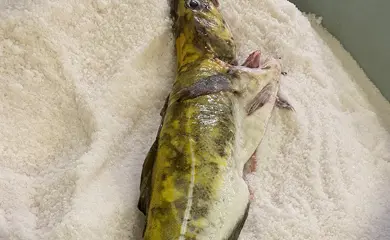 3 Aca919cc 2846 43E5 A8ce Ade8654a0145