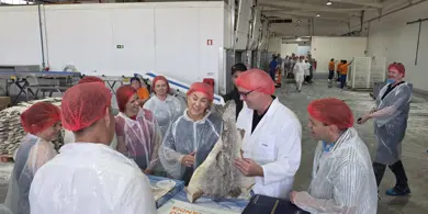 Saltfiskur1 (1)