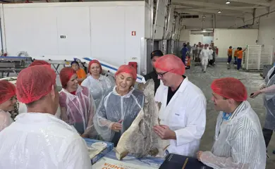 Saltfiskur1 (1)