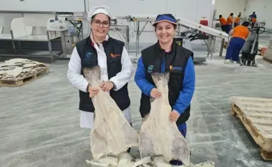 9Cdd249a 8E9f 4D6d 9514 Eb6a5a5837e2