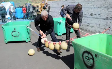 2 Img 3182Jpg 44