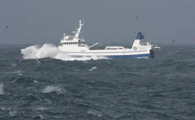 3 Dsc 4251