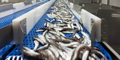 2 20210216 114656 Resized