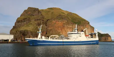 709A83341
