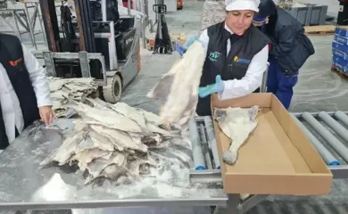 30C5df61 087A 4364 A7e1 33D17753d28f