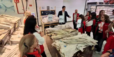 Portugal IMG 20251101 WA0006