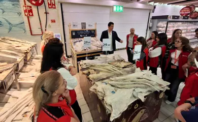 Portugal IMG 20251101 WA0006