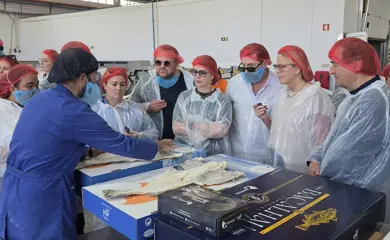 Saltfiskur2 (1)