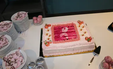IMG 9410