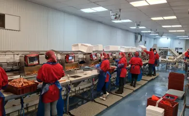 655015797 10164640497812959 1223148255479609965 N