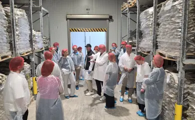 Saltfiskur14