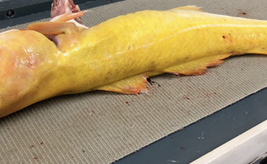 Screenshot 2024 01 16 At 13.09.52