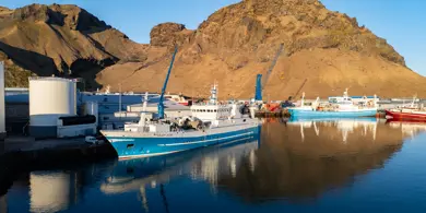 DJI 20260208110010 0006 D