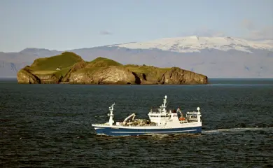 Img 9326 2