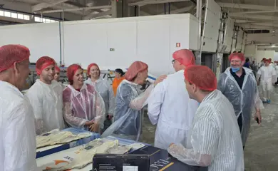 Saltfiskur16