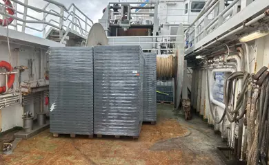 1000013126